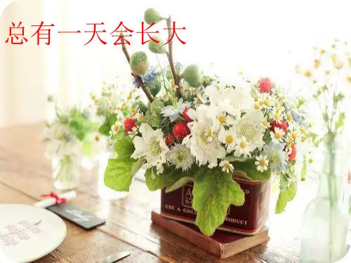 总有一天会长大