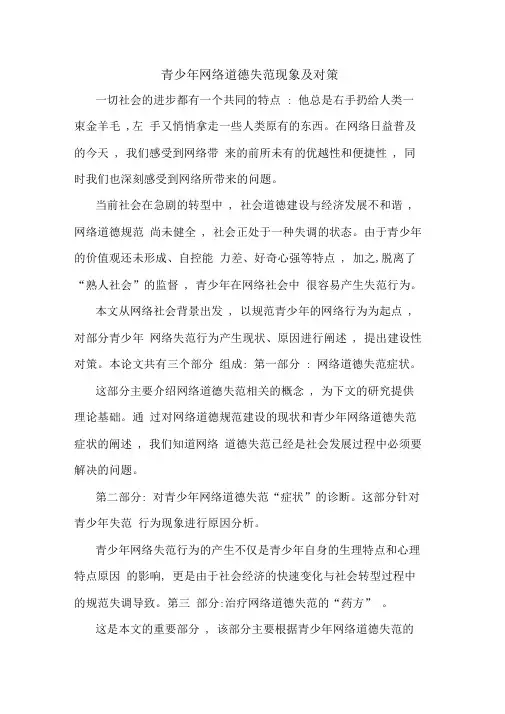 青少年网络道德失范现象及对策