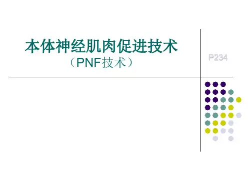 pnf课件