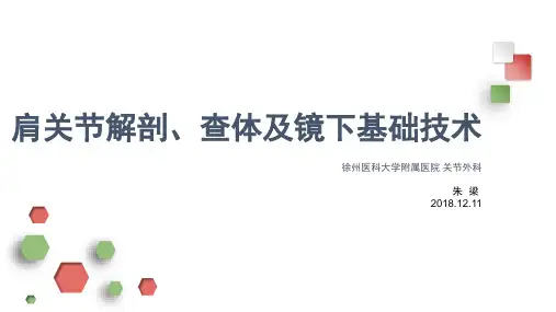 肩关节解剖、查体及镜下基础技术