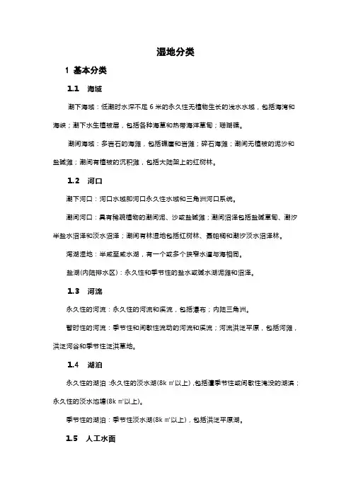湿地分类