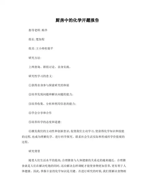 厨房中的化学开题报告