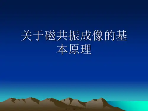 磁共振成像的基本原理课件