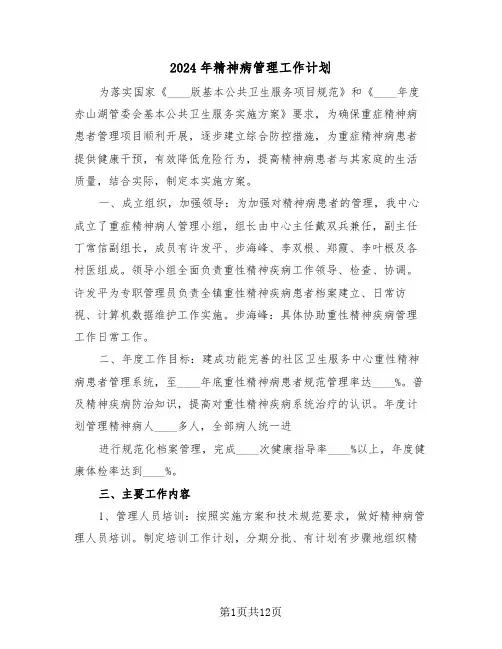 2024年精神病管理工作计划（五篇）