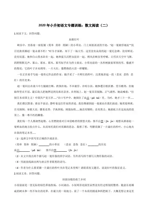 六年级下册语文试题--2020年小升初专题训练：散文阅读(二) 人教部编版(含答案)