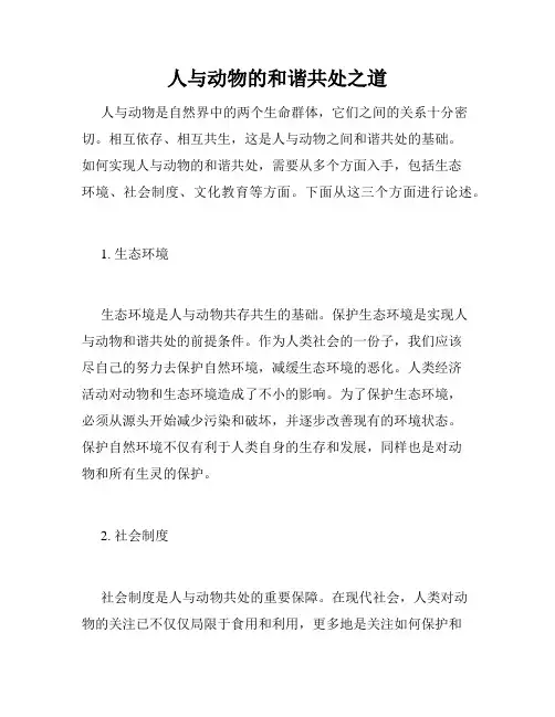 人与动物的和谐共处之道