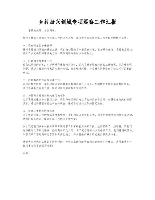 乡村振兴领域专项巡察工作汇报