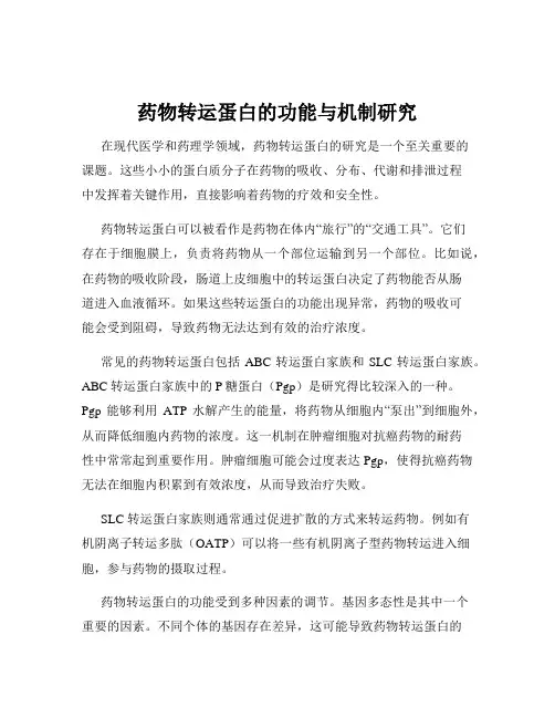 药物转运蛋白的功能与机制研究