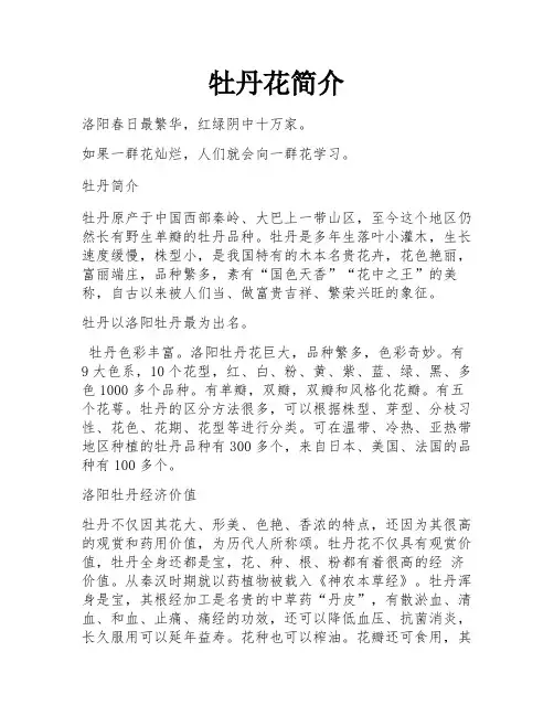 牡丹花简介