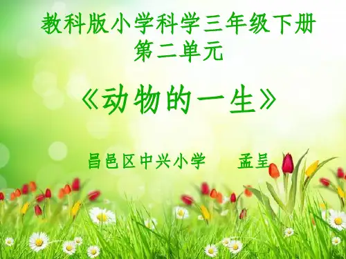 教科版小学科学最新版三年级第二单元第二课认识其它动物的卵,精品课件,网课公开课专用!