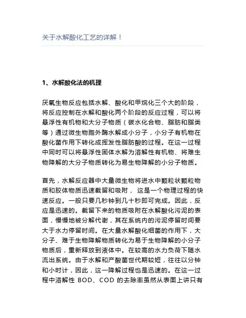 关于水解酸化工艺的详解