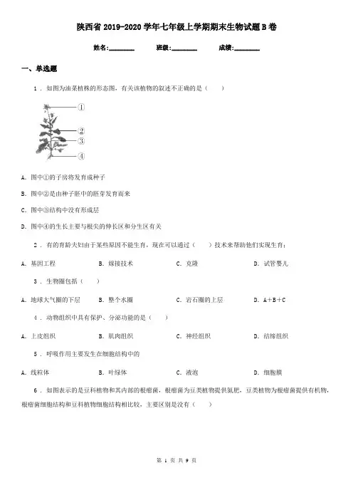 陕西省2019-2020学年七年级上学期期末生物试题B卷