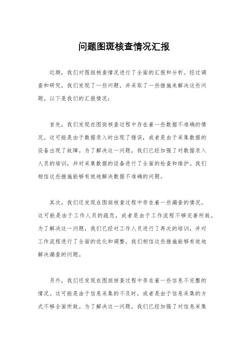 问题图斑核查情况汇报