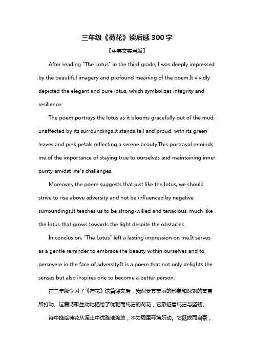 三年级《荷花》读后感300字