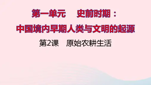 七年级历史上册第一单元史前时期：中国境内早期人类与文明的起源第2课原始农耕生活提优训练课件1新人教版