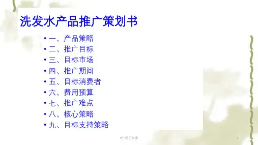 清扬洗发水推广方案课件