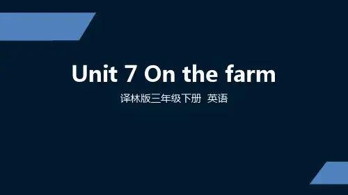 译林版 小学三年级下册 Unit7第三课时 ppt课件