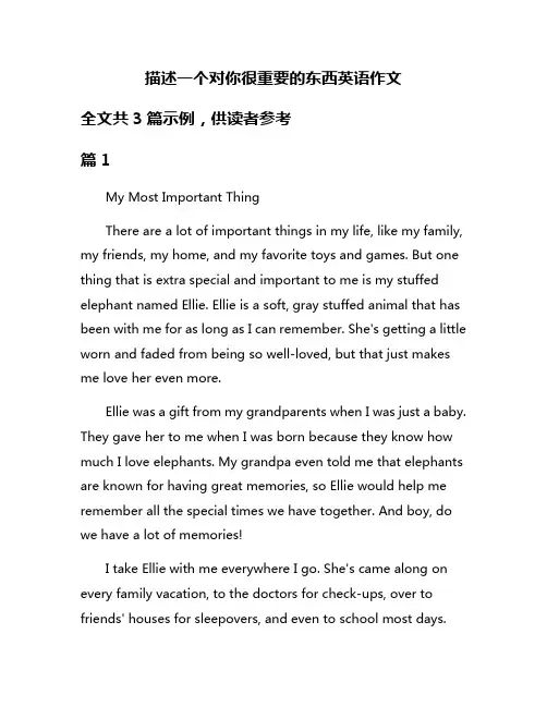描述一个对你很重要的东西英语作文