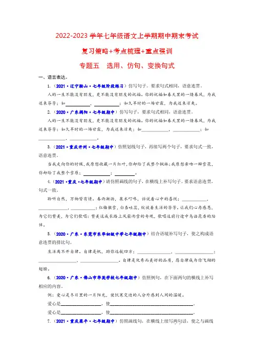 专题五：选用、仿句、变换句式(重点强训)(原卷版)