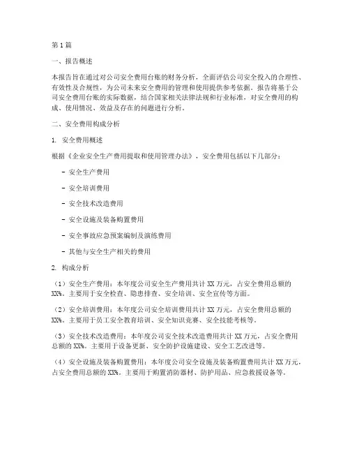 安全费用台账财务分析报告(3篇)