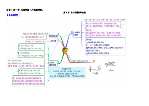 教材图解(思维导图+微试题)人教版高中生物必修1