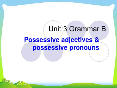 2021年牛津译林版七年级英语下册Unit3 Grammar B优质课课件