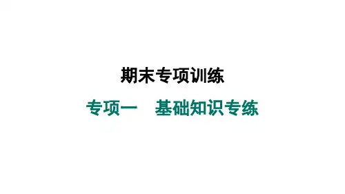 2024年秋新人教版七年级英语上册 专项一 基础知识专练期末专项训练(课件)