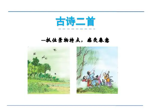 《古诗二首》语文教学PPT课件(6篇)
