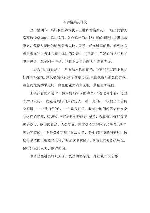 小学格桑花作文