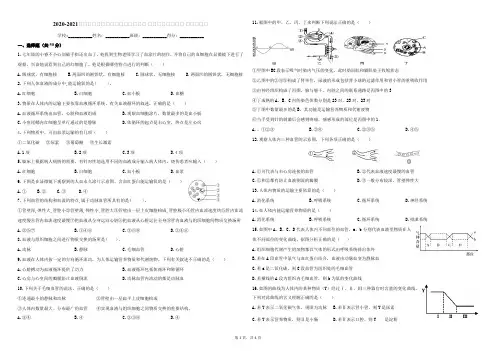 2020-2021学年人教版七年级生物下册第四章 人体内物质的运输 单元自测卷(含答案)