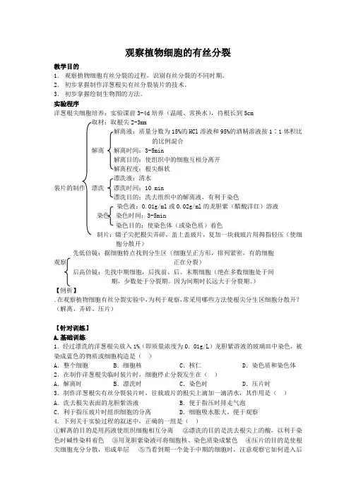 高三生物一轮复习教案：观察植物细胞的有丝分裂