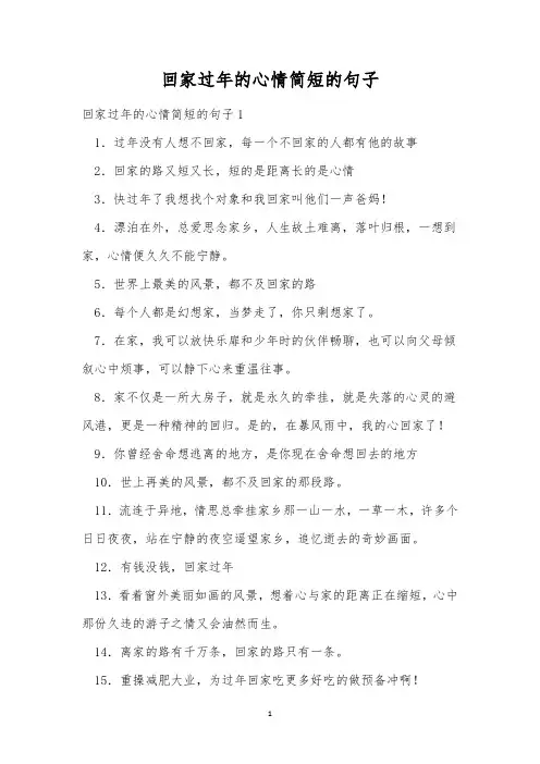 回家过年的心情简短的句子