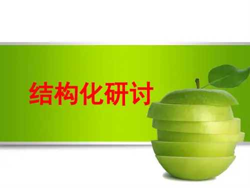 结构化研讨