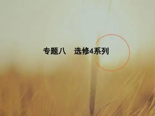 2018届高三数学文二轮复习课件全国通用方法突破 专题