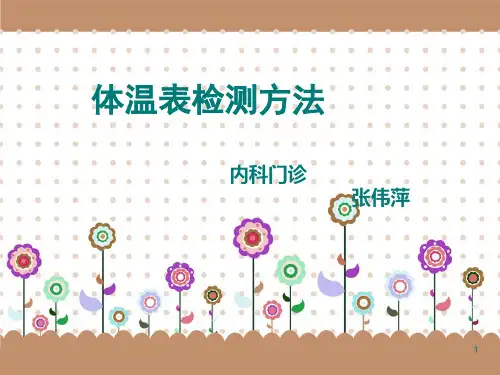体温表检测PPT优秀课件