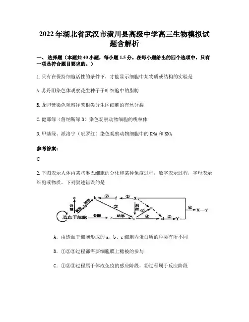 2022年湖北省武汉市潢川县高级中学高三生物模拟试题含解析