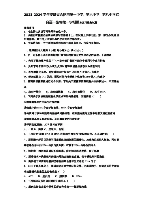 2023-2024学年安徽省合肥市第一中学、第六中学、第八中学联合高一生物第一学期期末复习检测试题含