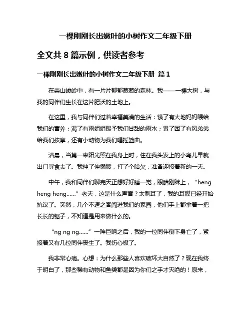 一棵刚刚长出嫩叶的小树作文二年级下册