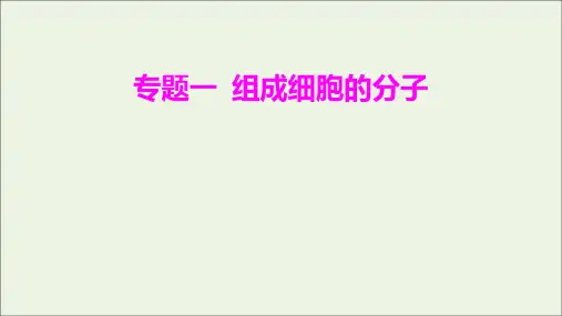 艺体生专用2021届高考生物二轮复习专题一组成细胞的分子课件ppt