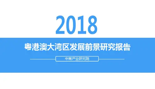 粤港澳大湾区发展前景研究报告