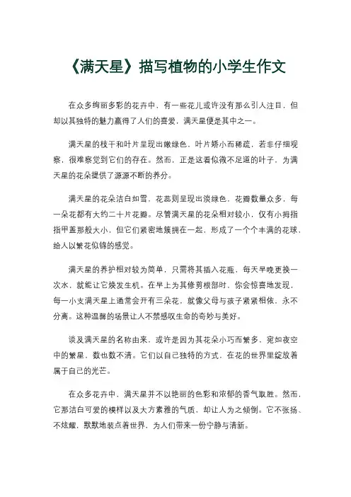 《满天星》描写植物的小学生作文