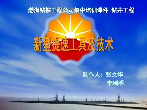 新型提速工具及技术(2版评审后)11-19