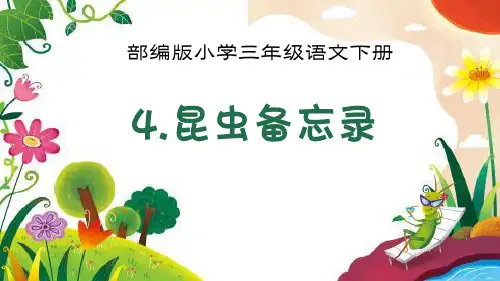 最新 部编版三年级语文下册《4.昆虫备忘录》教学课件