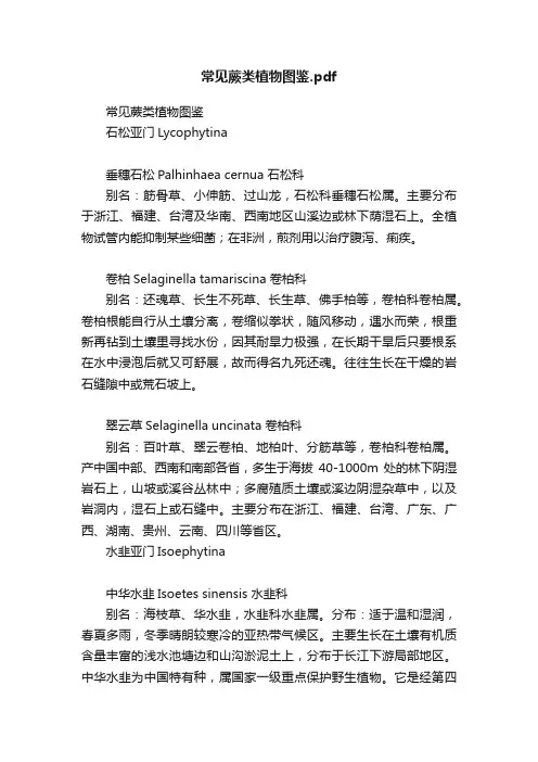 常见蕨类植物图鉴.pdf