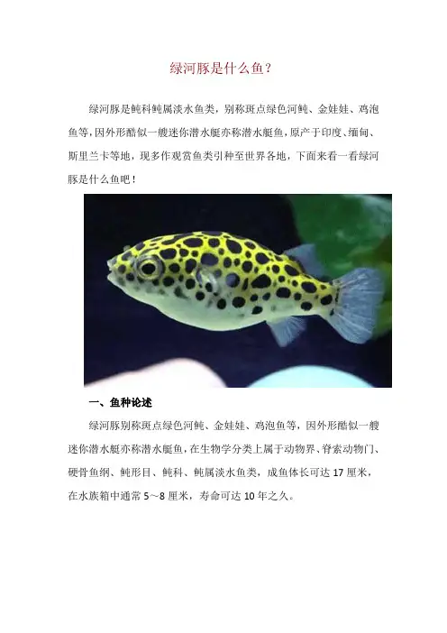 绿河豚是什么鱼？