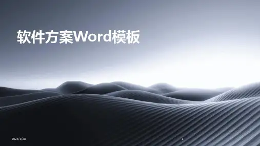 软件方案Word模板(2024)