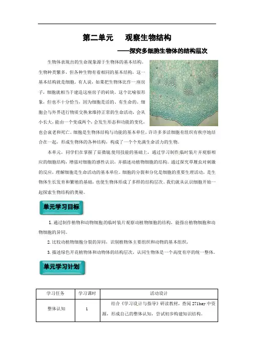 第2单元观察生物结构教案-九年级生物复习