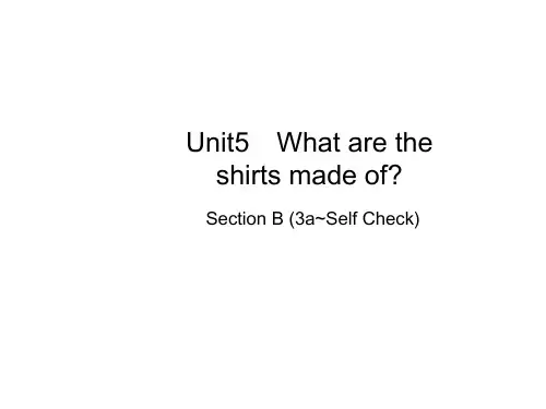 人教版九年级英语全册课件：Unit 5 Section B(3a~Self