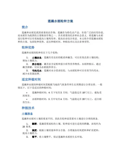 莲藕水稻轮种方案
