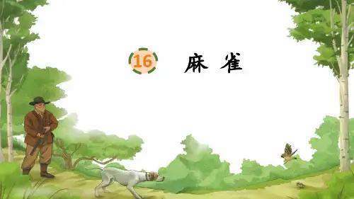 16 麻雀   课件(共21张PPT).ppt